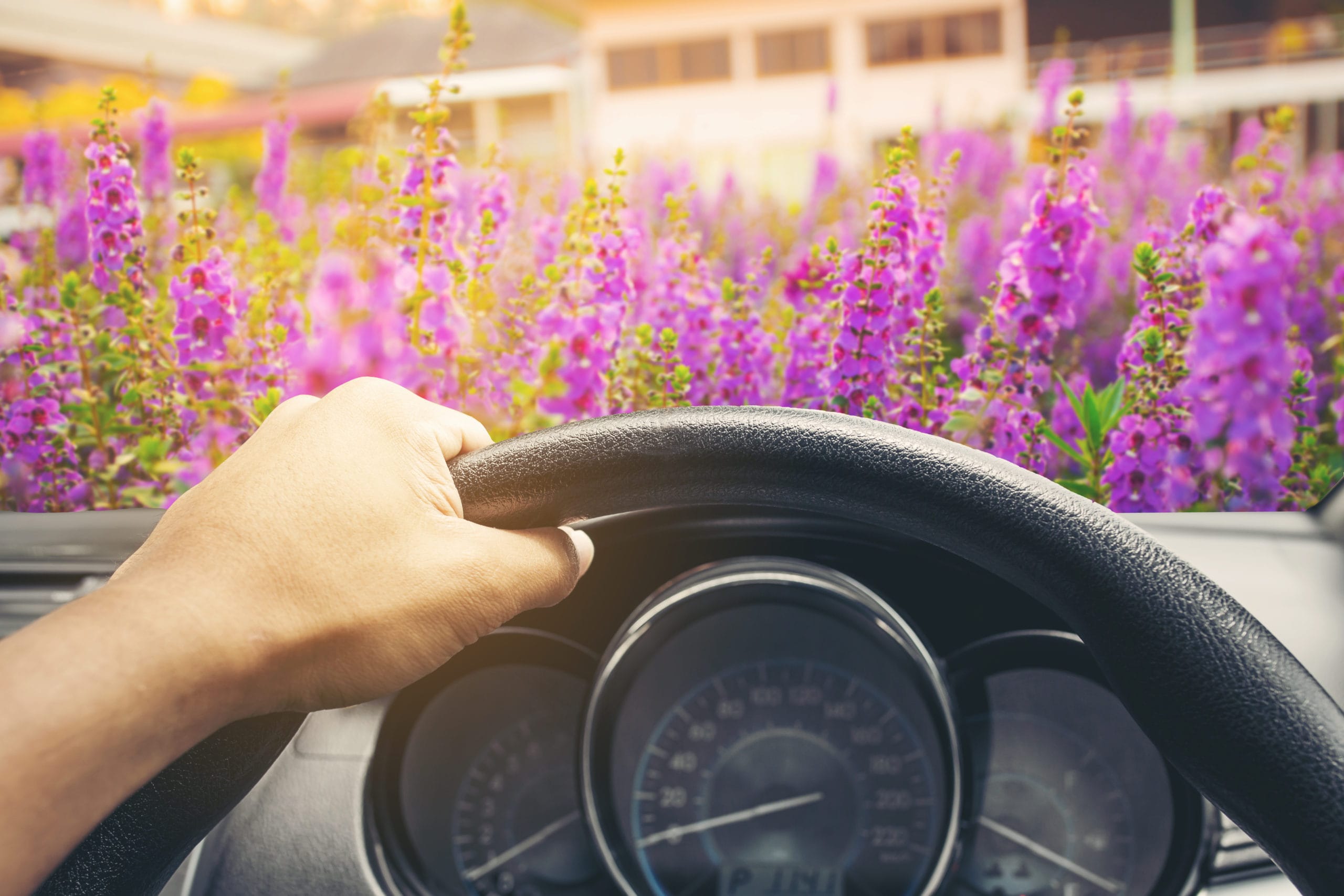 View on the dashboard of the truck driving.The driver is holding