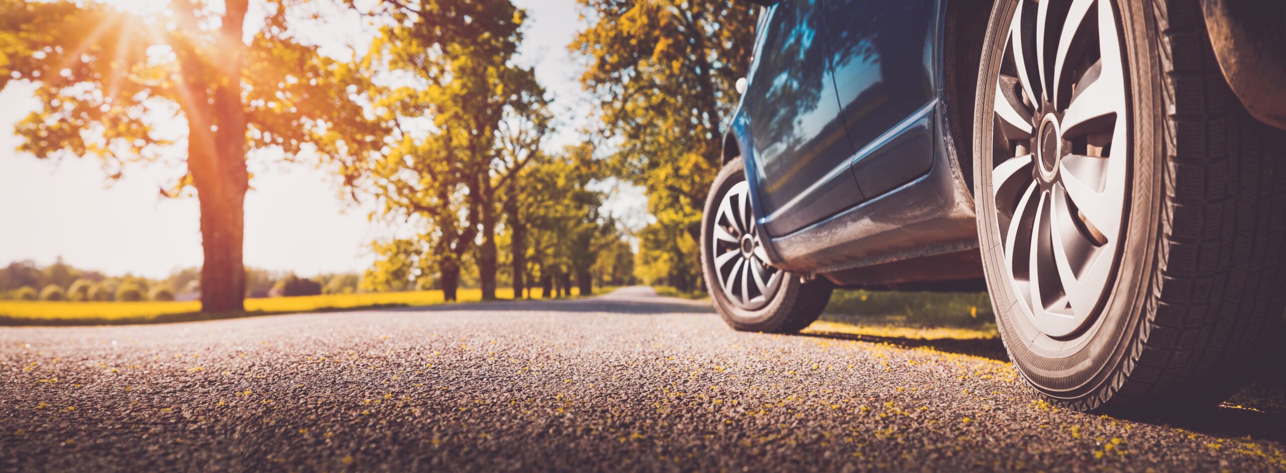 Car on asphalt road on summer day at park