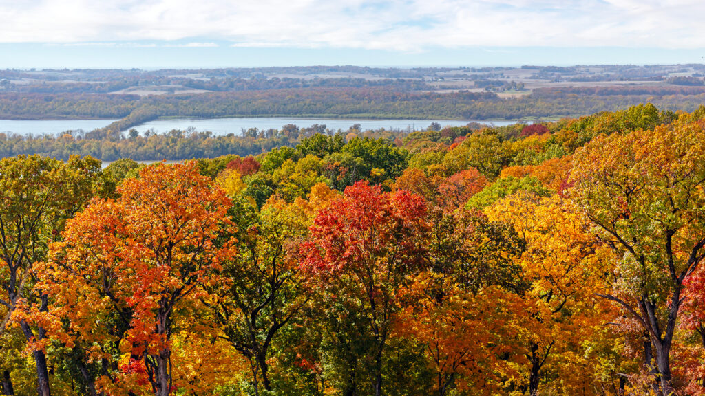 Scenic overlook view of colorful Autumn foliage and the Mississippi River from Pere Marquette State Park in Grafton, Illinois
